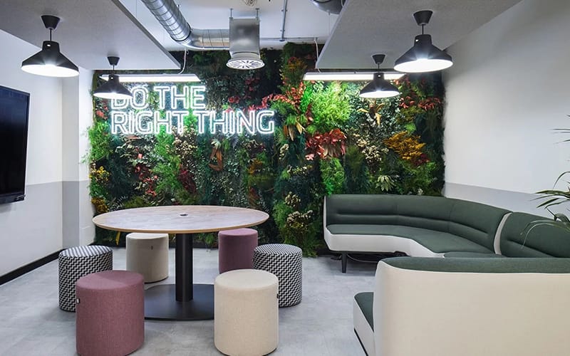 Oasis Plants