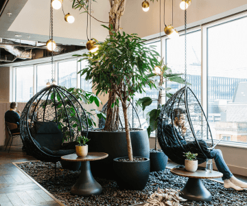 Plant Designs